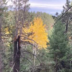 Meet your Posher, Timothy